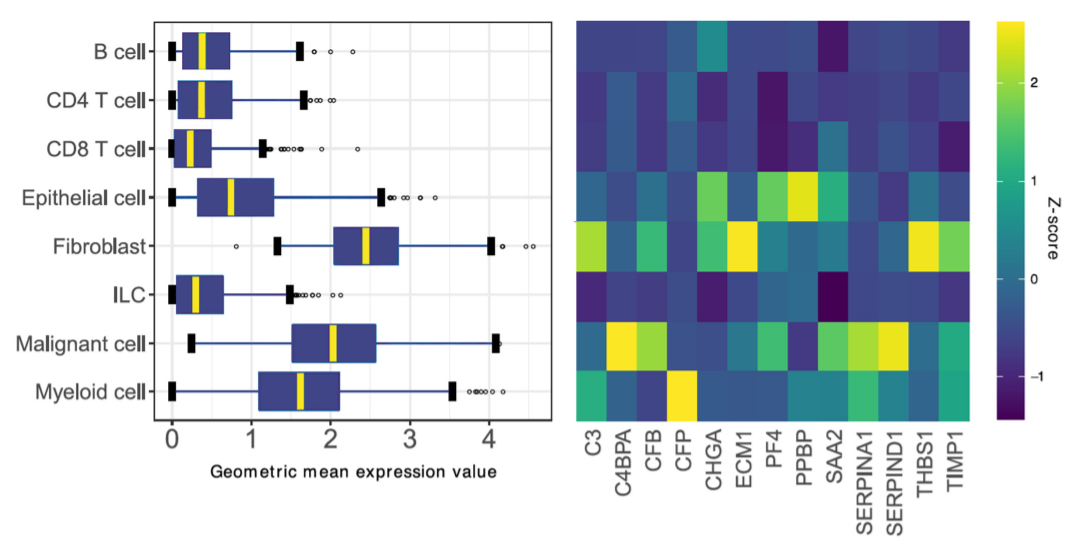 Stromal-Epithelial Gene Signature Ratio